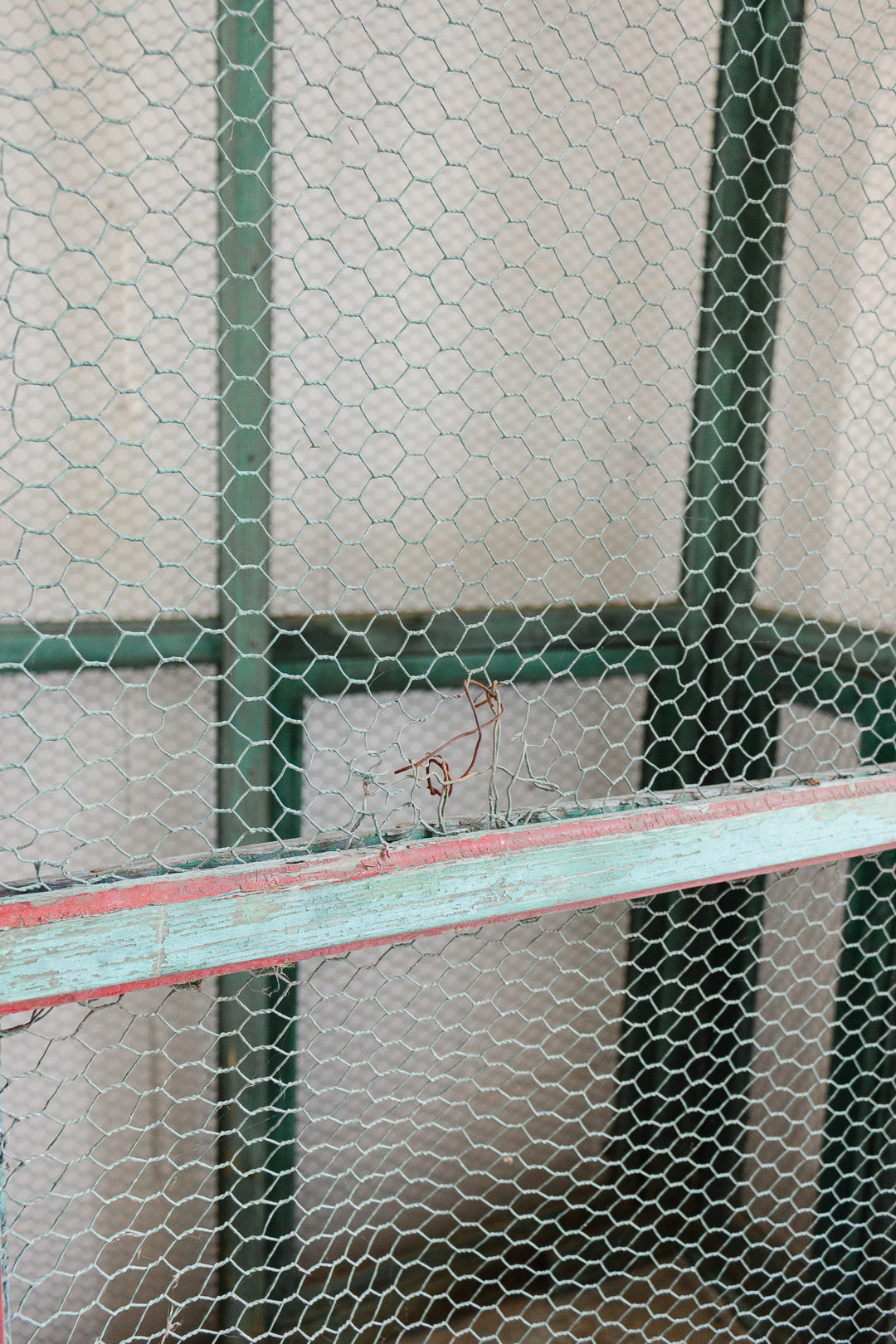 turn of the century French wood aviary