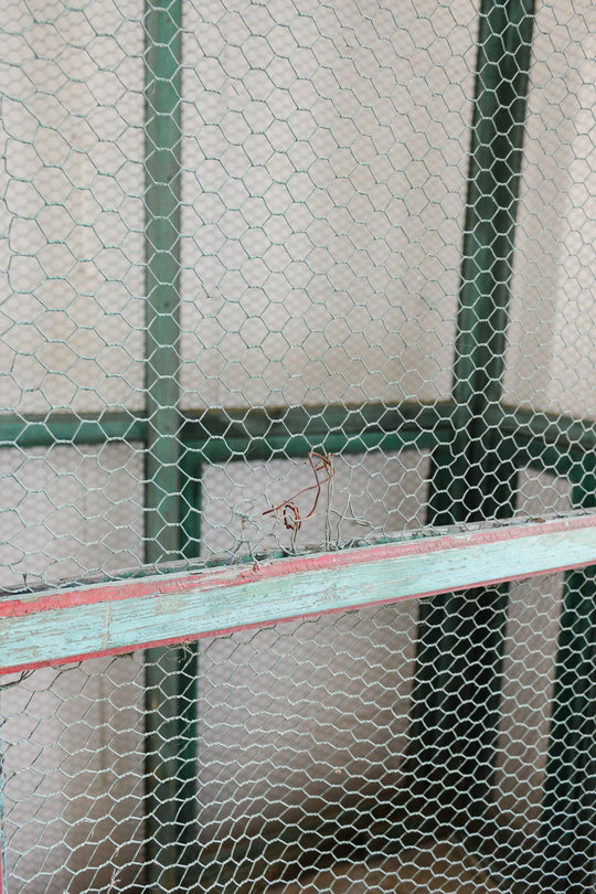 turn of the century French wood aviary