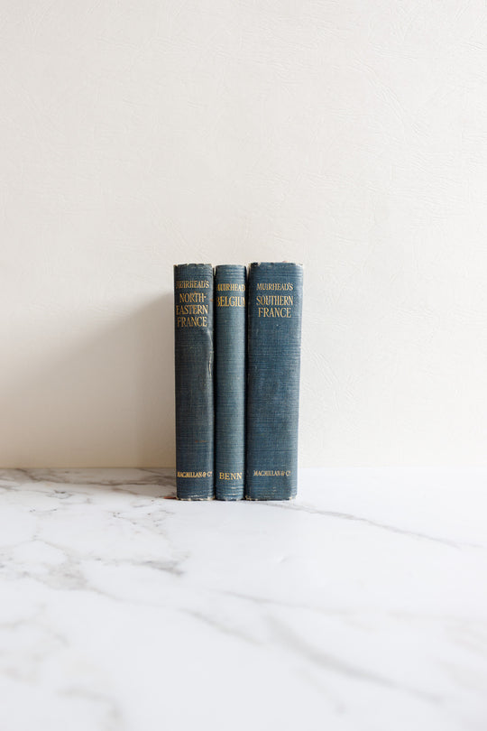 the blue guides, set of 3