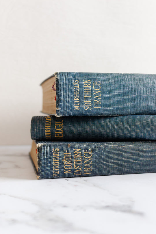 the blue guides, set of 3