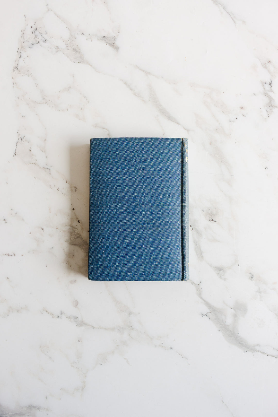 the blue guides, set of 3