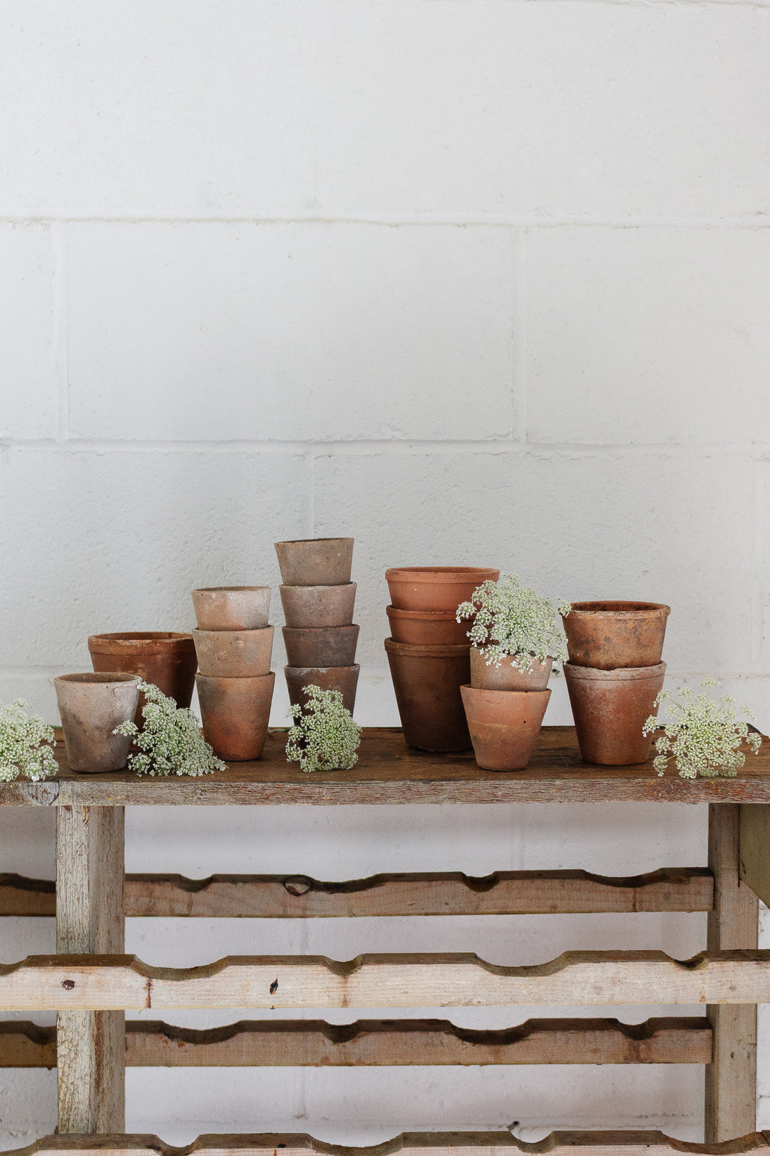 antique french terra cotta garden pots