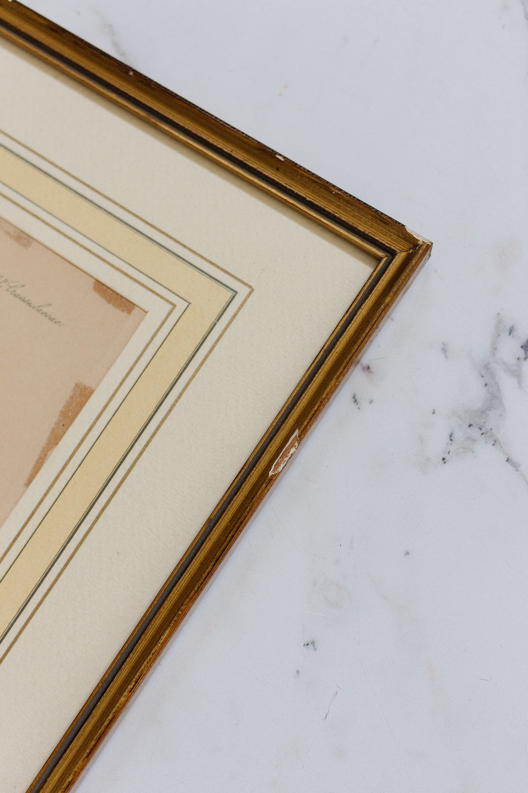 pair of vintage french botanical lithographs