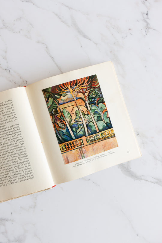 "braque" by Éditions d'art Albert skira vintage book