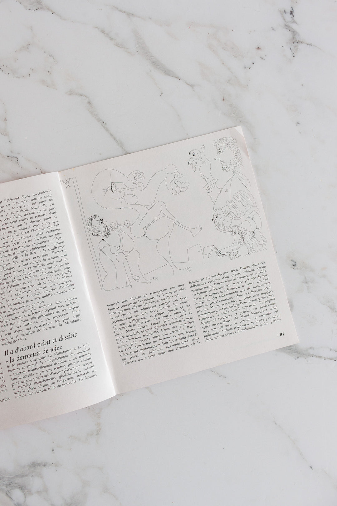 "l'érotique de picasso" rare book