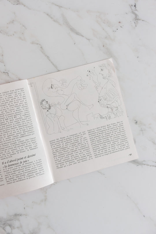 "l'érotique de picasso" rare book