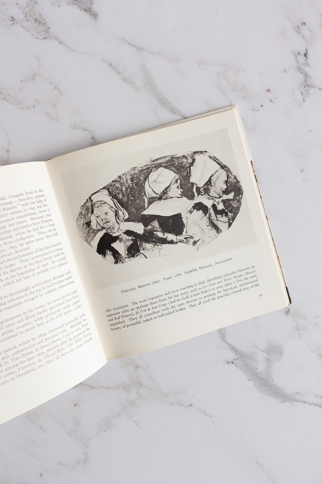 "gauguin" vintage coffee table book