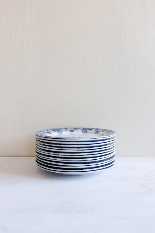 42 piece antique french badonviller dish set