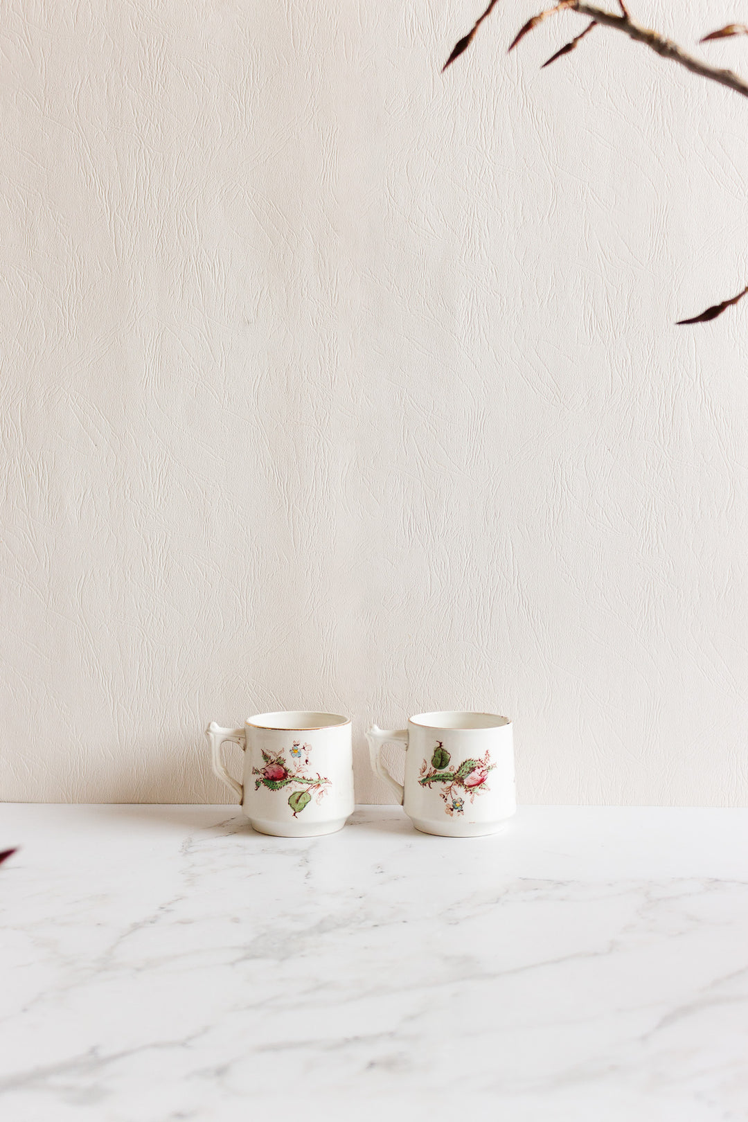 Two antique Gien transferware coffee cups with floral and bird designs rest on a white marble surface against a textured cream wall, their unique dimensions adding charm while branches with dark leaves frame the image.