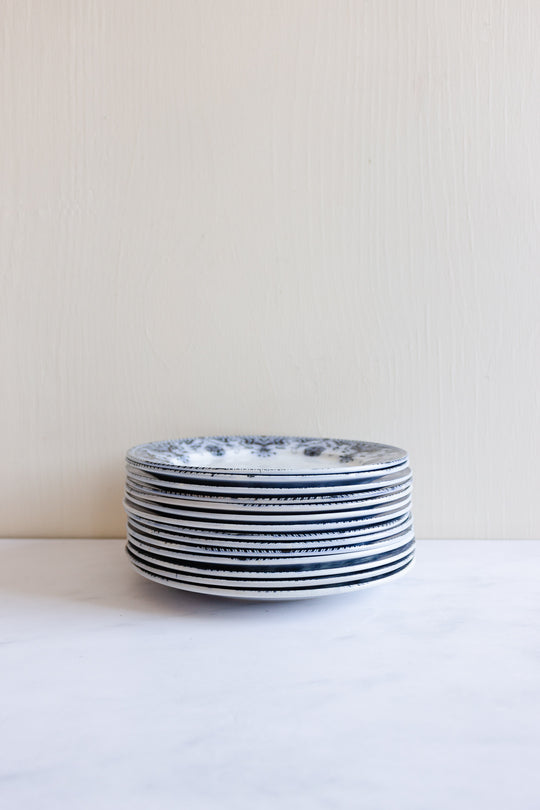 42 piece antique french badonviller dish set