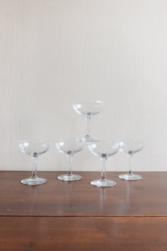 set of 5 vintage french etched champagne coupes