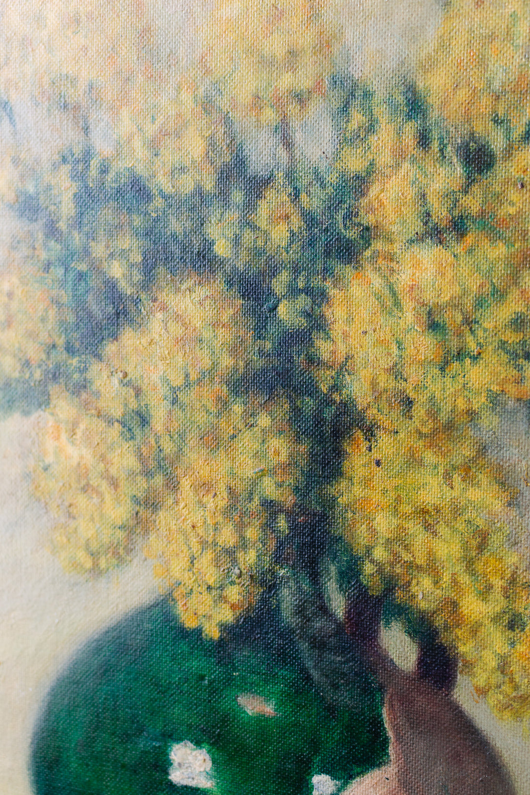 les fleurs jaunes