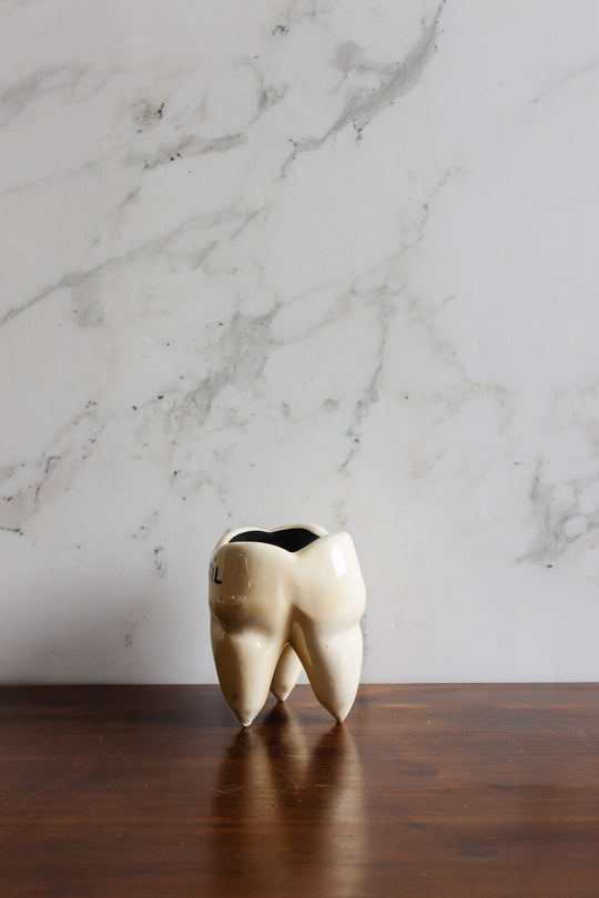 vintage french "fluocaril" promotional tooth advertising piece