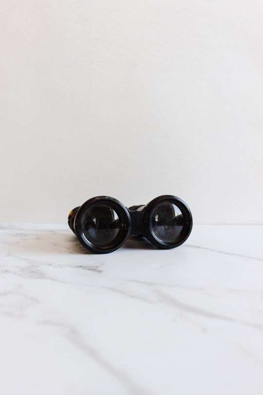 vintage french tortoise shell opera glasses in monogrammed leather case