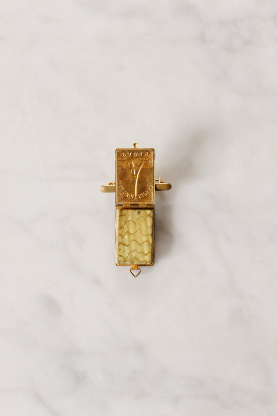 rare turn of the century Paris souvenir photo book brooch