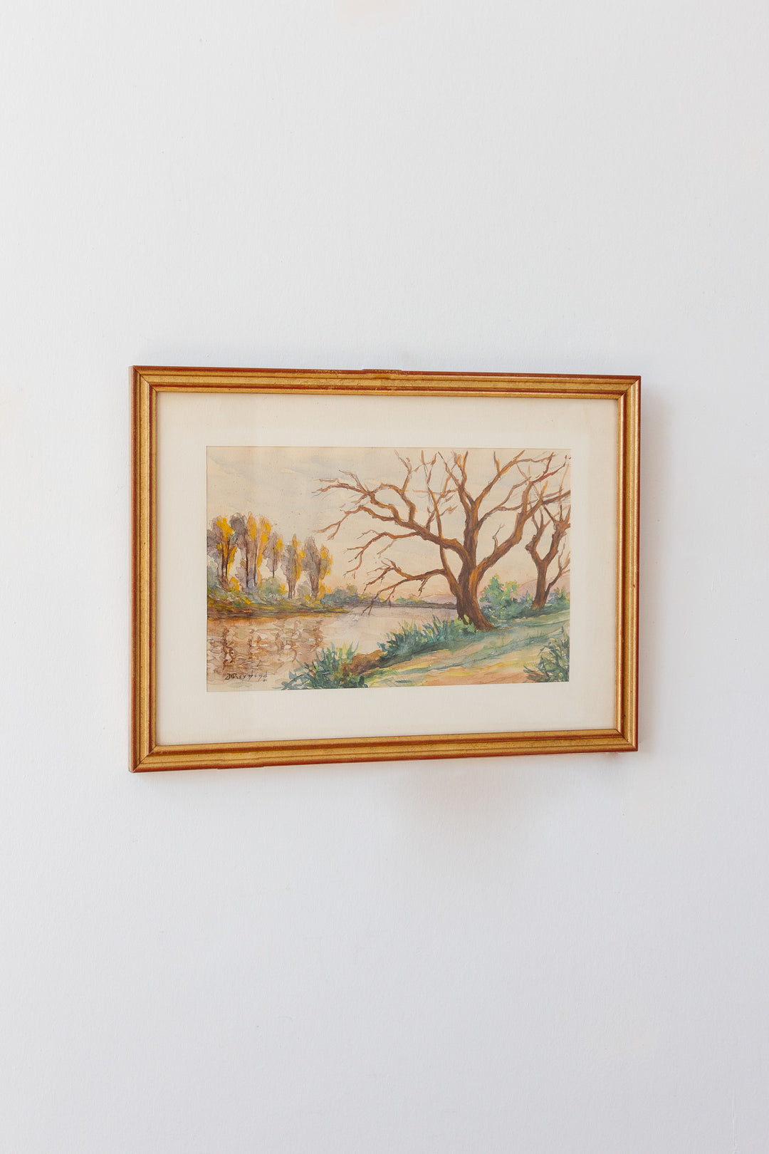 les arbres sans feuilles
