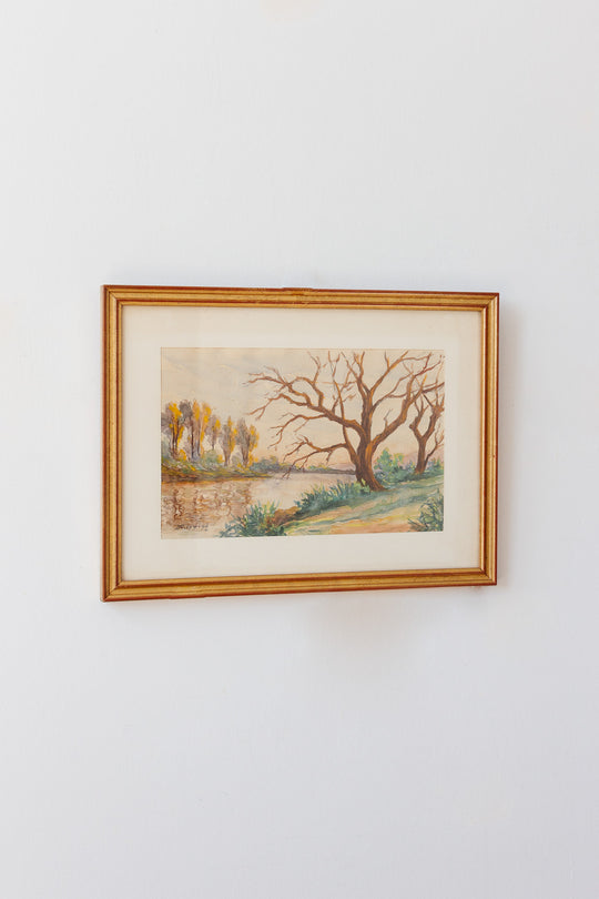 les arbres sans feuilles