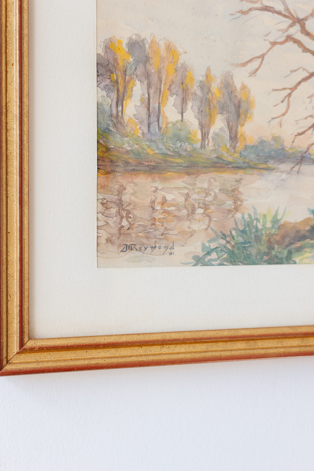 les arbres sans feuilles