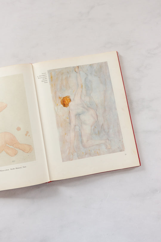 Rodin vintage art book