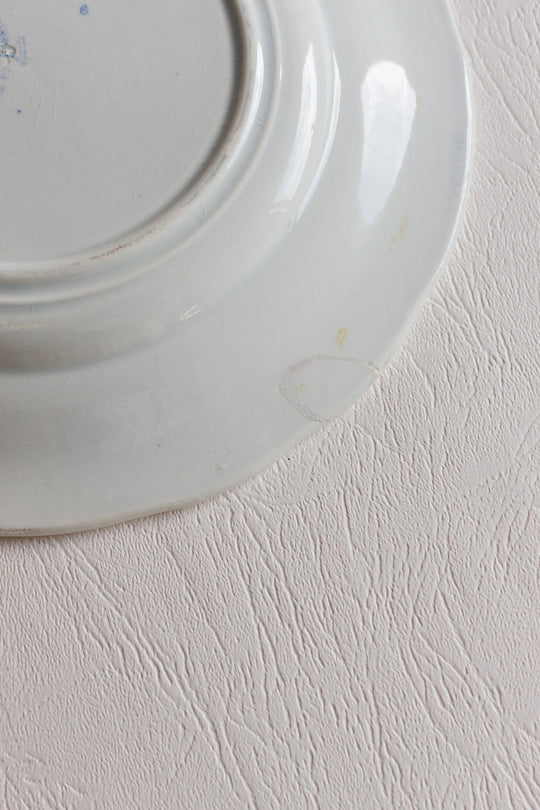 antique creil & montereau french talking plates