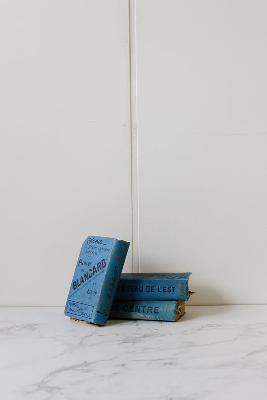 turn of the century french "guide conty" travel book