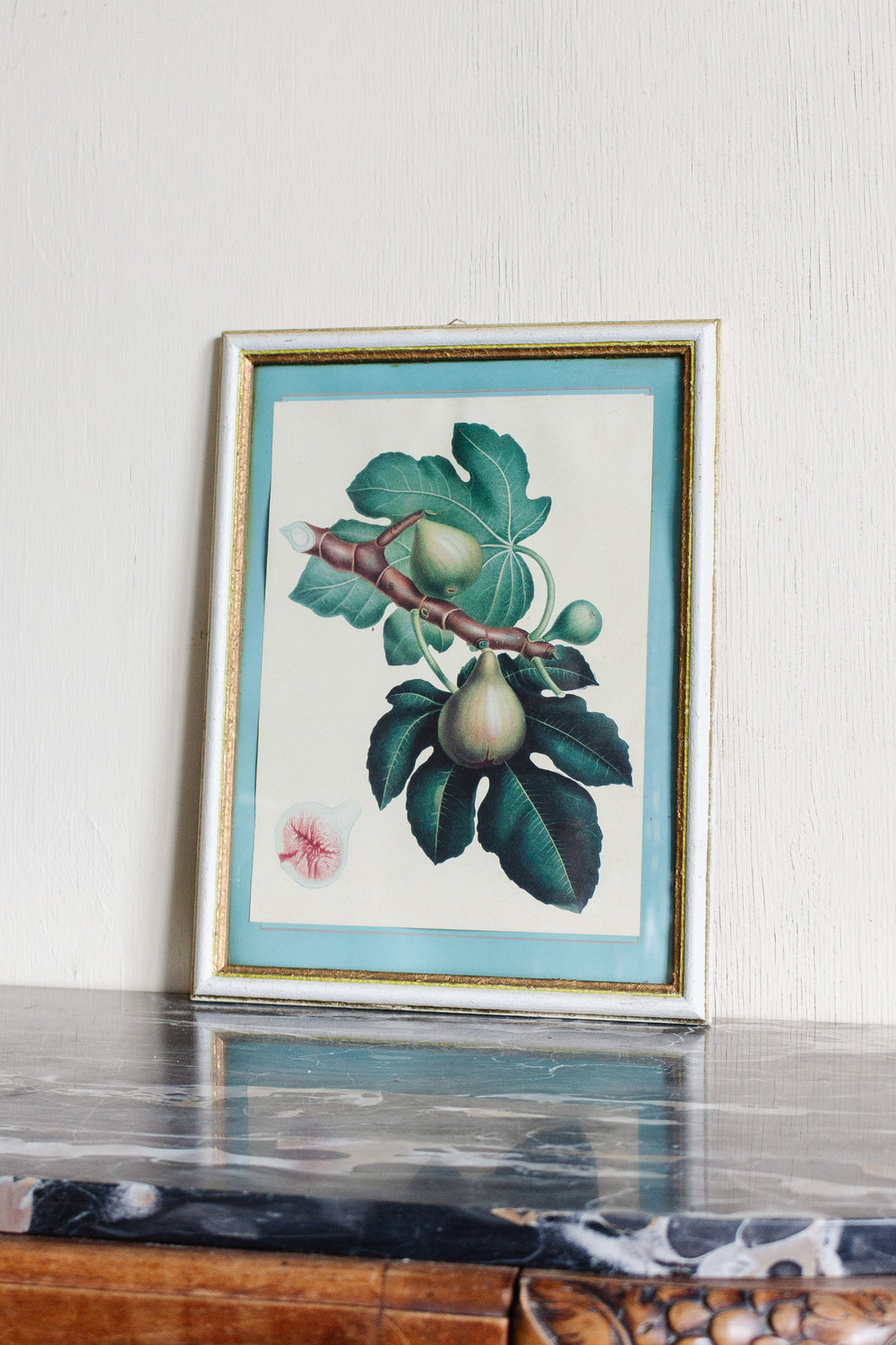vintage french botanical print "les figues"