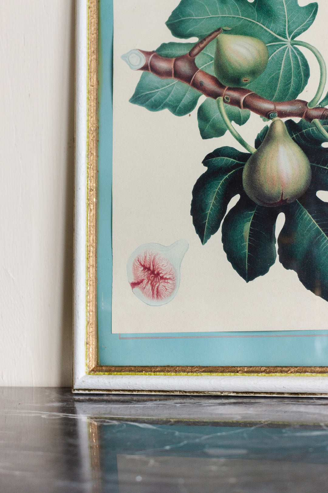 vintage french botanical print "les figues"