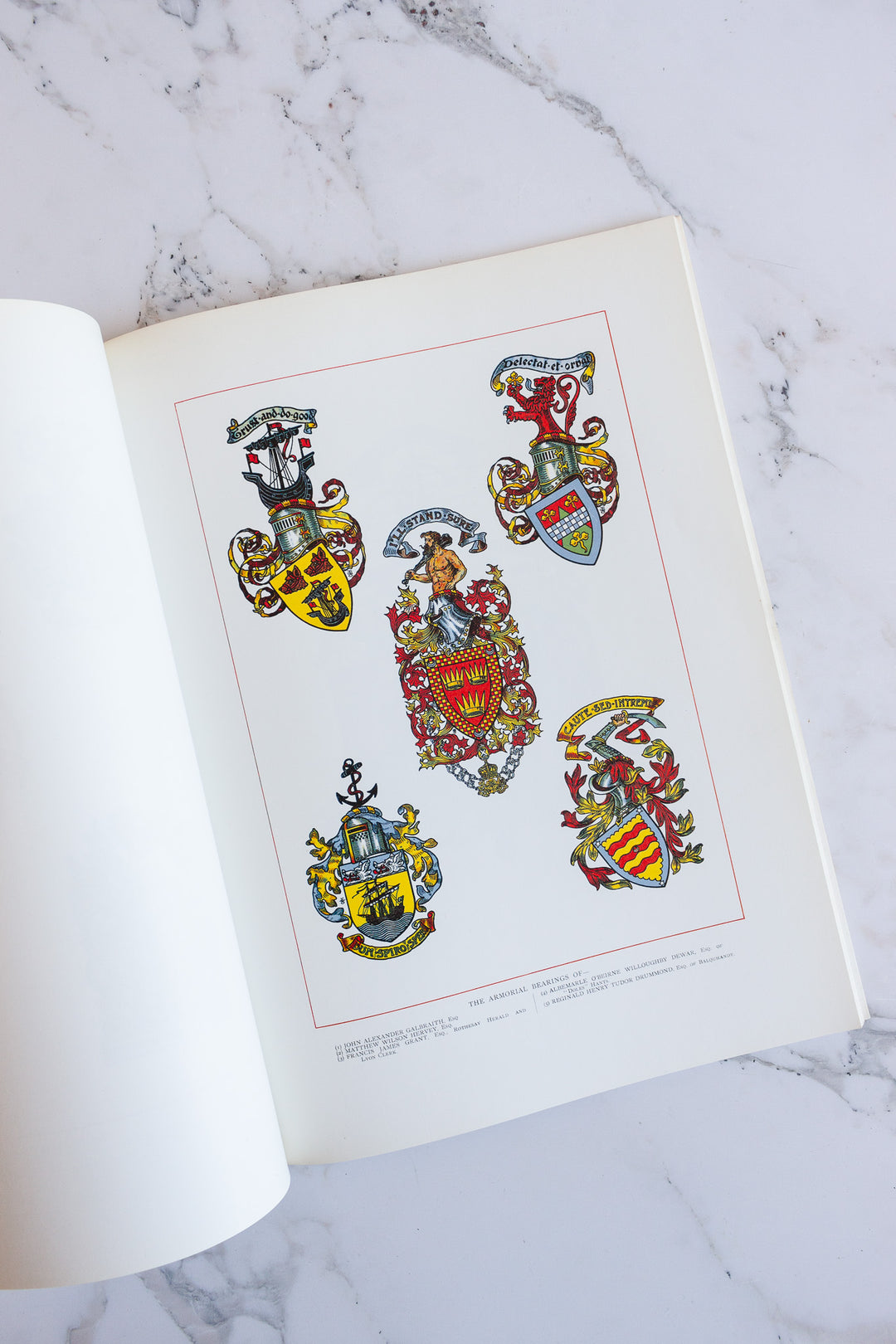 vintage coffee table book, "Heraldic designs"