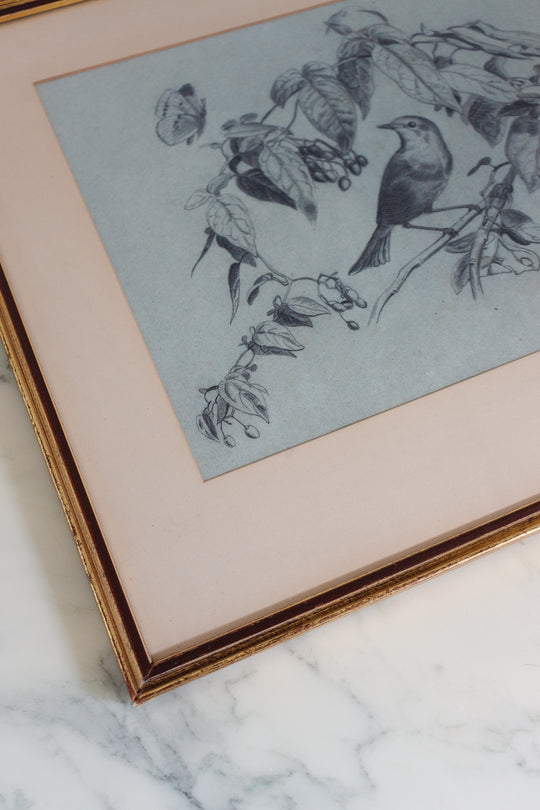 perché dans les arbres