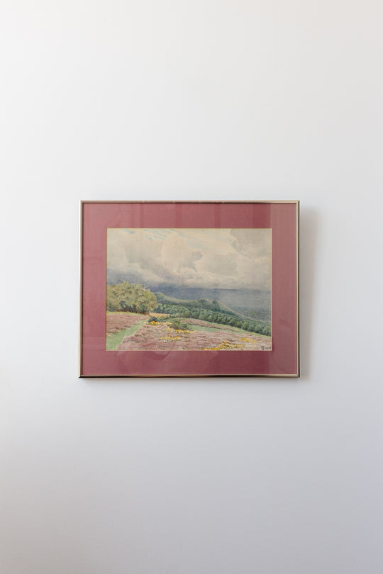 overlooking the fields