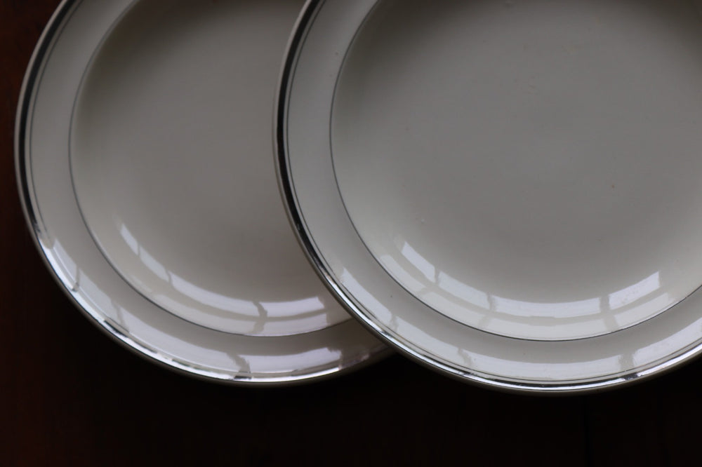 antique french dining set by moulin des loups; 6 plates and 1 large platter