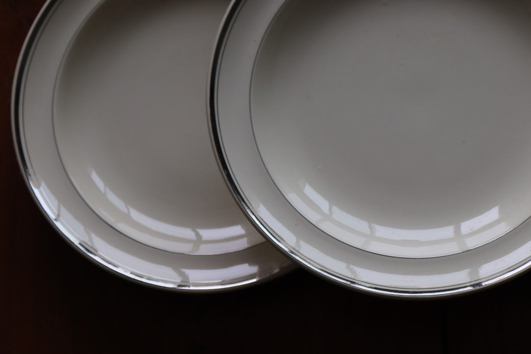 antique french dining set by moulin des loups; 6 plates and 1 large platter