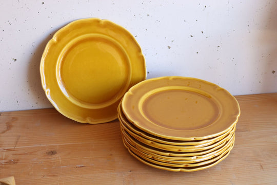 set of 10 vintage French ceramic dinner plates by proceram