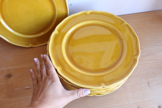 set of 10 vintage French ceramic dinner plates by proceram
