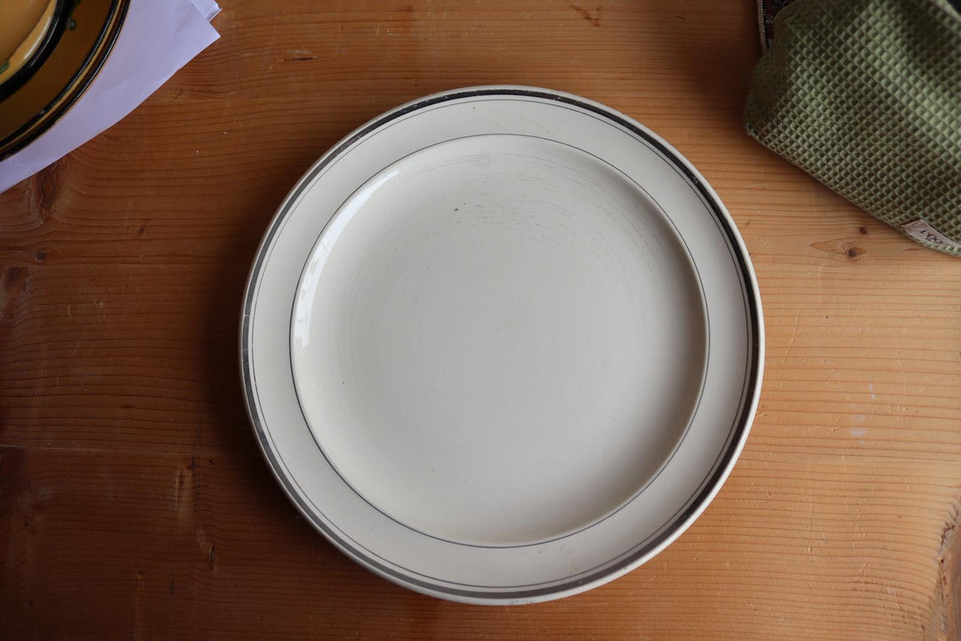 antique french dining set by moulin des loups; 6 plates and 1 large platter
