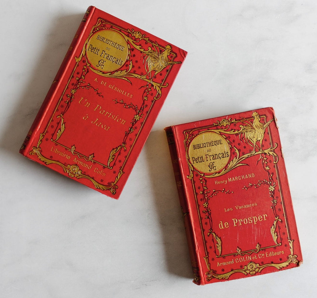 antique French hardcover books, “Bibliothèque du Petit Français”