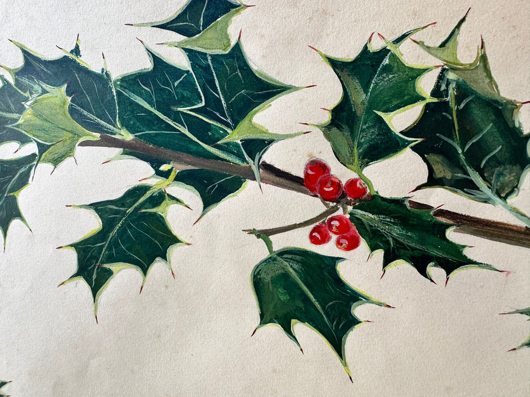 Holly drawing