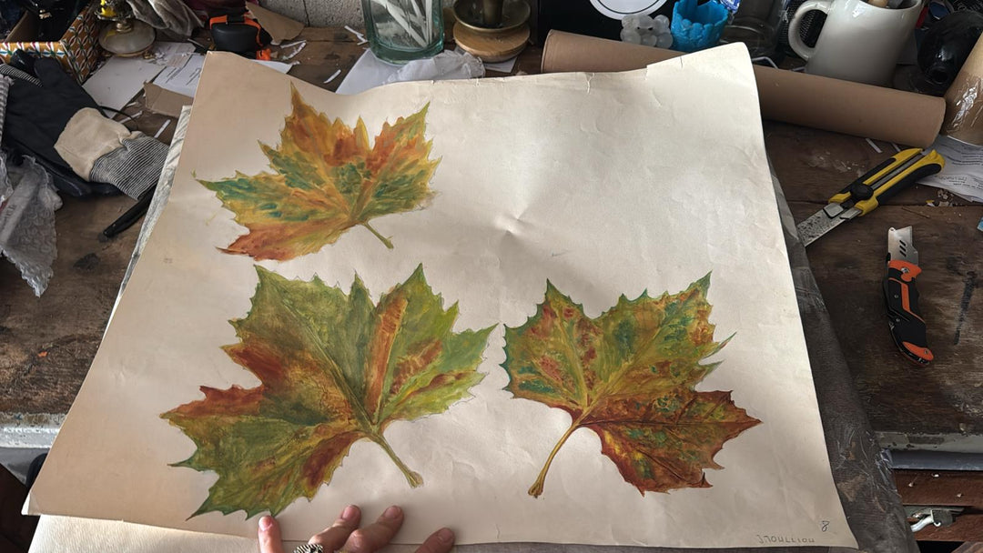 Maple leaf drawing
