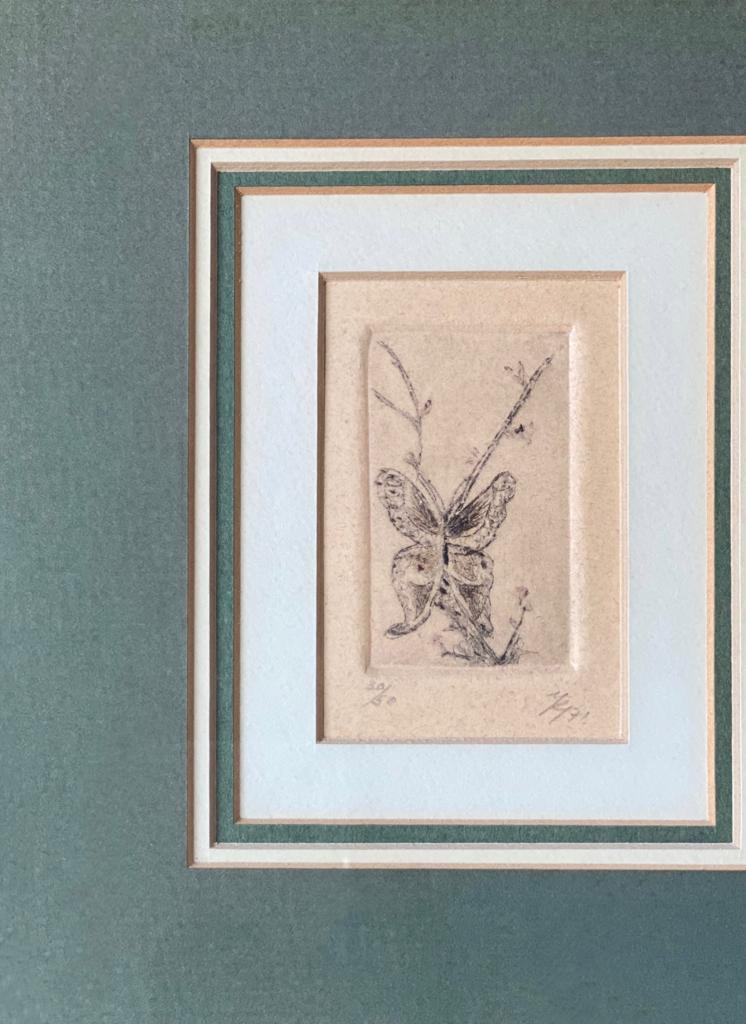 papillon etching