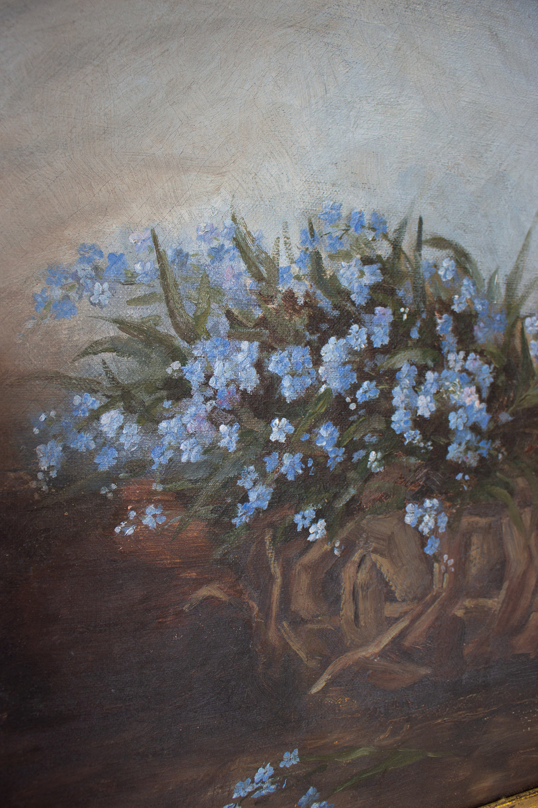 les petites fleurs bleues