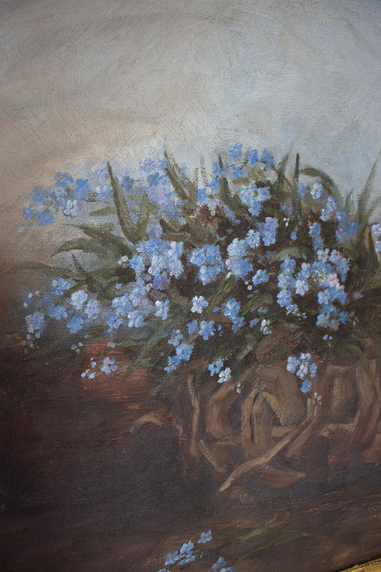 les petites fleurs bleues