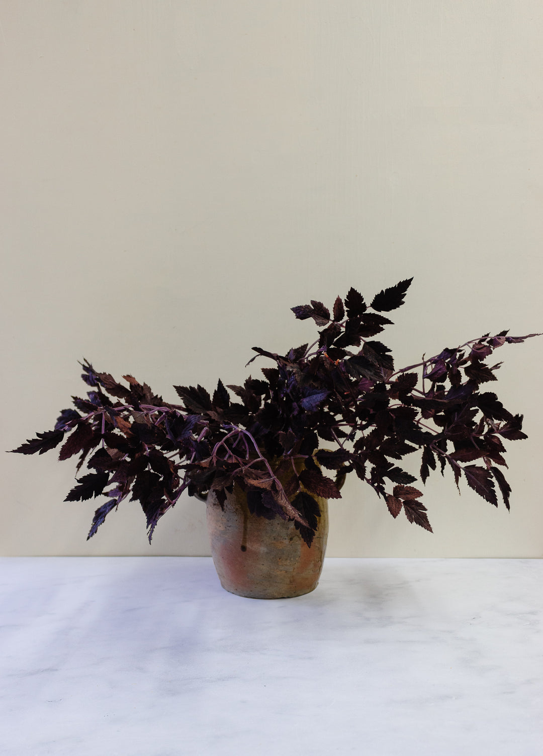 antique French terra cotta confit pot