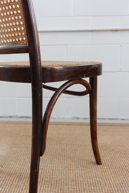midcentury french bentwood and cane chair