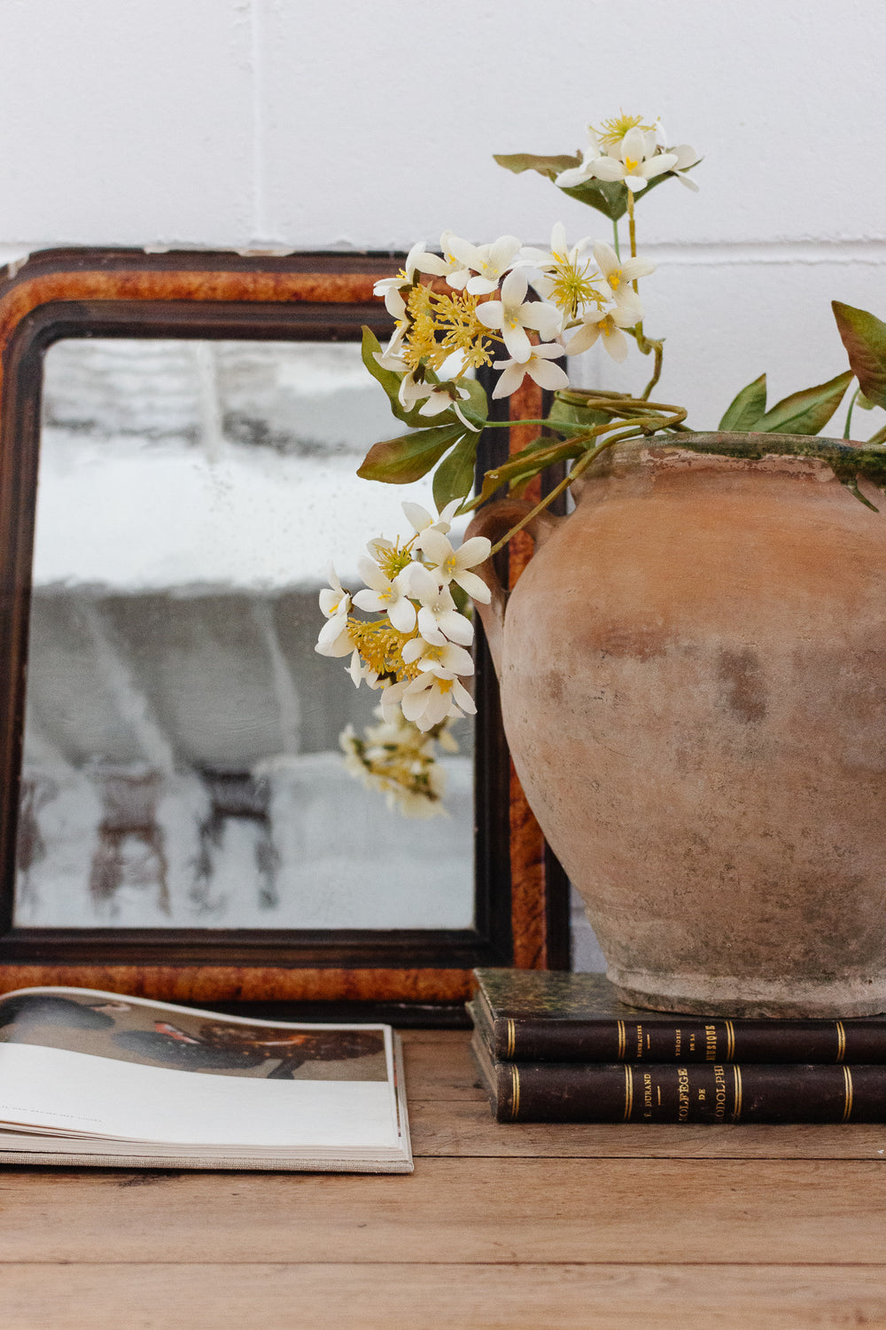 19th century Provençal terra cotta pot