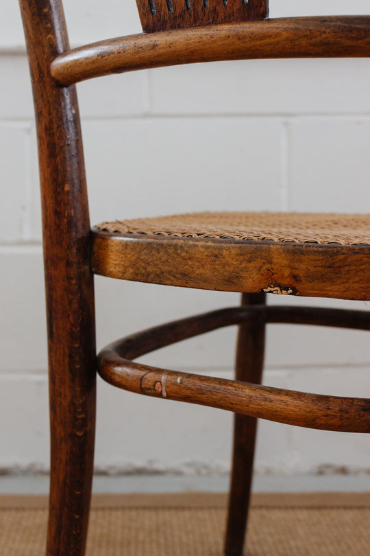 set of turn of the century Thonet no. 221 chairs