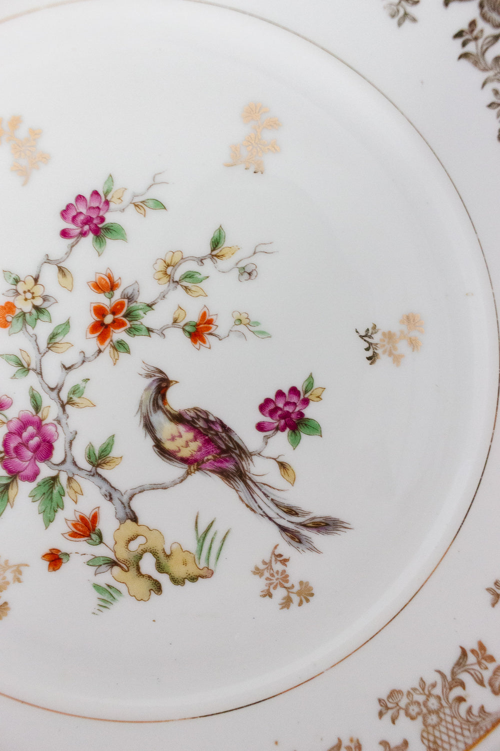 midcentury french limoges bird of paradise service, set of 41