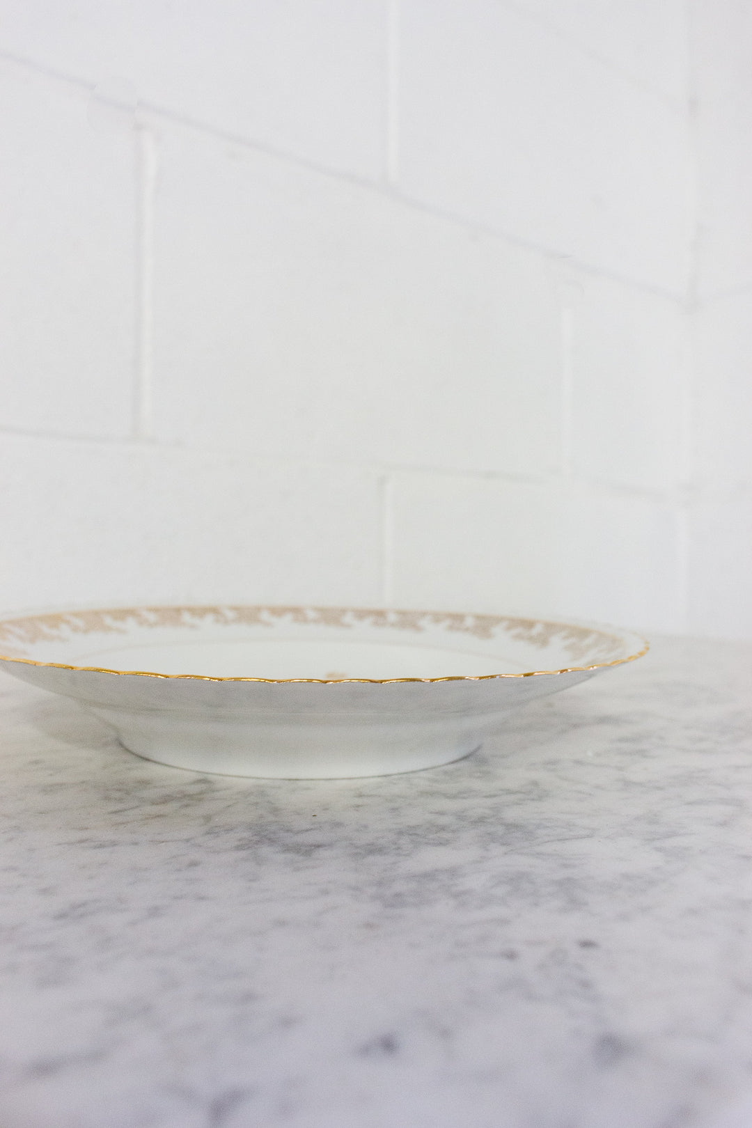 midcentury french limoges bird of paradise service, set of 41