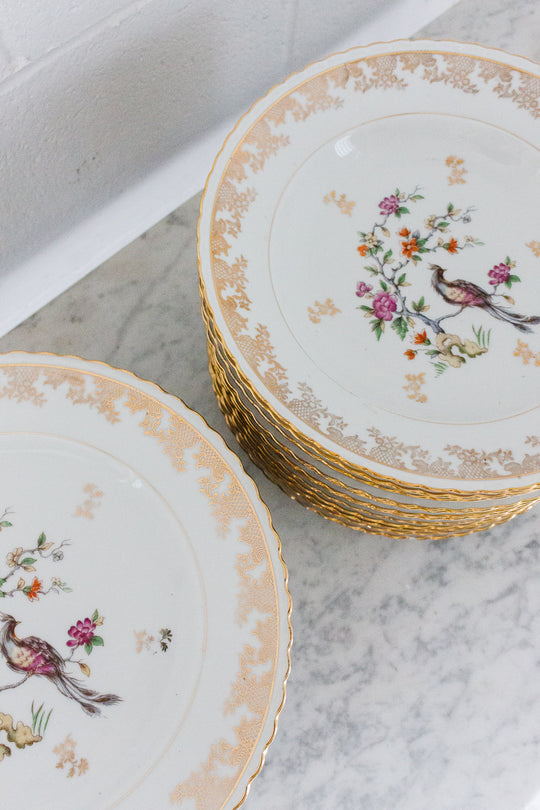 midcentury french limoges bird of paradise service, set of 41