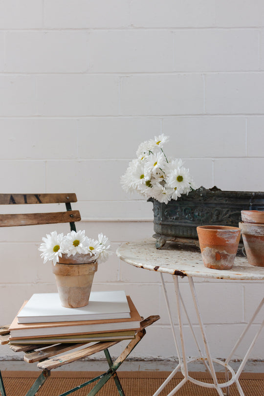 turn of the century french enamelled cast iron jardinière