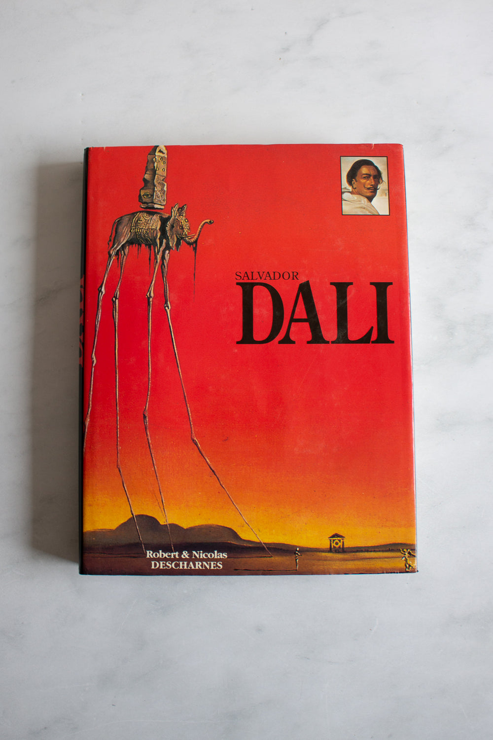 vintage French art book, “Salvador Dali”